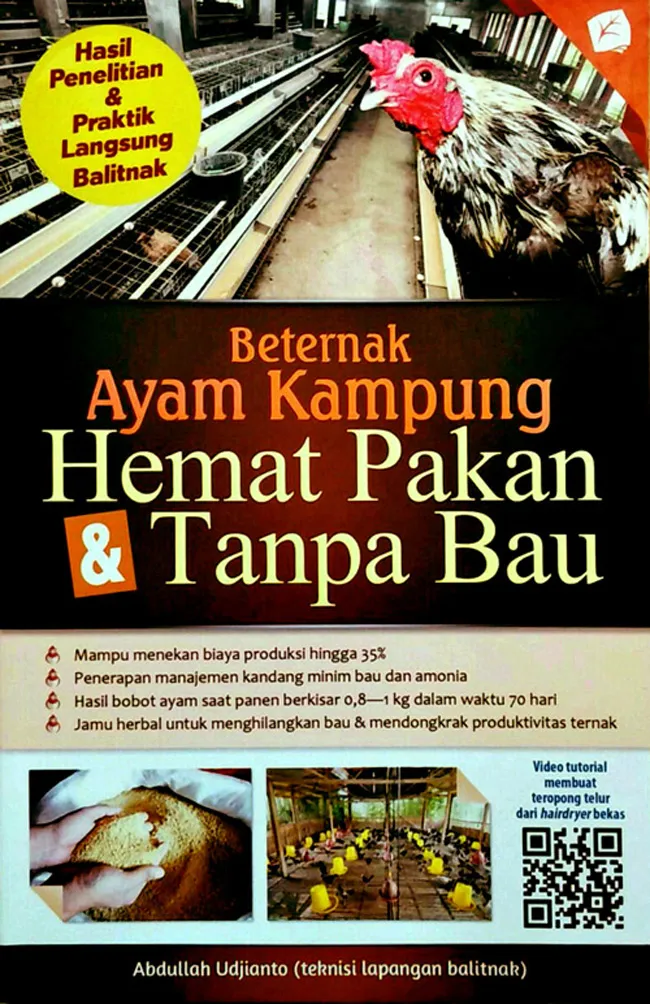 Beternak Ayam Kampung Hemat Pakan & Tanpa Bau