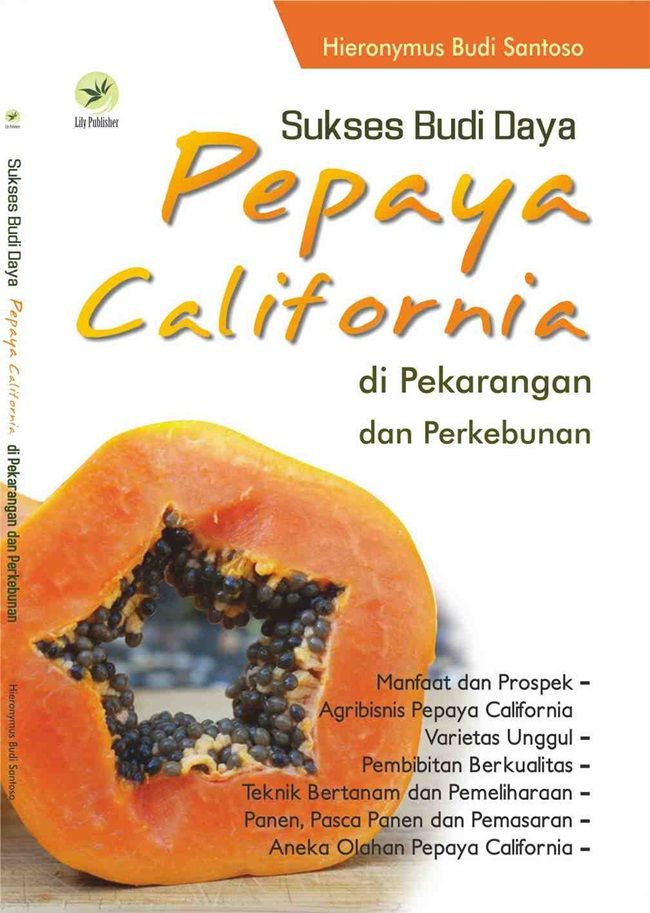 Sukses Budi Daya Pepaya California Di Perkarangan Dan Perkebunan