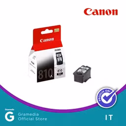 Canon Ink Pg 810